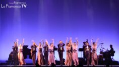 Privado: [ID: 7e9l0VFhZbM] Youtube Automatic