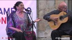 Privado: [ID: _92ILkw0UZk] Youtube Automatic