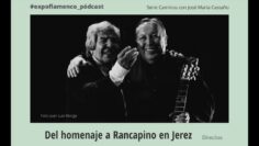 Privado: [ID: 9iORHWOy5Xs] Youtube Automatic