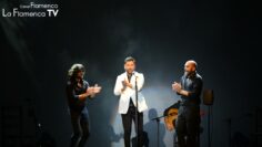 Privado: [ID: AWOcC6etrzM] Youtube Automatic