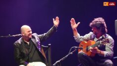 Privado: [ID: _B-QviX749M] Youtube Automatic