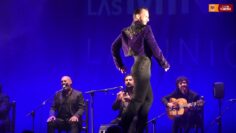 Privado: [ID: bt37Flq7umM] Youtube Automatic