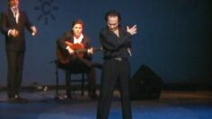 Privado: [ID: dEGbSFArHxk] Youtube Automatic