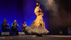 Privado: [ID: dmqxMnnJ8cg] Youtube Automatic