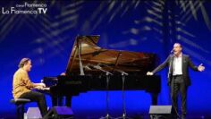 Privado: [ID: DQ6bHjIS5mo] Youtube Automatic