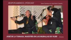 Privado: [ID: EJrc3KTHm8g] Youtube Automatic