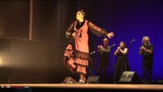 Privado: [ID: fBmgCbRsjL4] Youtube Automatic