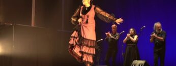 Privado: [ID: fBmgCbRsjL4] Youtube Automatic