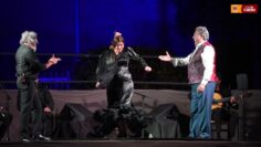 Privado: [ID: F_rDxHU33RA] Youtube Automatic