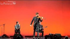 Privado: [ID: gHu94nwMWgE] Youtube Automatic