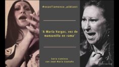 Privado: [ID: HUfxBw0kt2U] Youtube Automatic