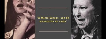 Privado: [ID: HUfxBw0kt2U] Youtube Automatic