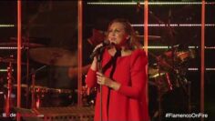 Privado: [ID: Lp-eMcS8p0M] Youtube Automatic