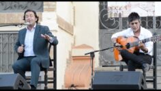 Privado: [ID: pnbQeMIGrzM] Youtube Automatic