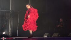 Privado: [ID: raPYQubTuZw] Youtube Automatic