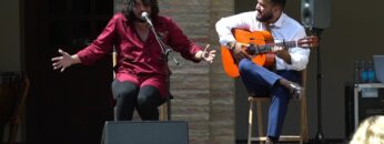 Privado: [ID: SZdt6cHvEVg] Youtube Automatic