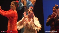 Privado: [ID: TsOrNDBkBtQ] Youtube Automatic