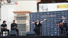 Privado: [ID: uQfZqKrZutQ] Youtube Automatic