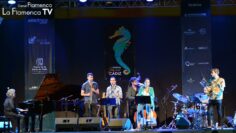 Privado: [ID: UzJ8B0Vqids] Youtube Automatic