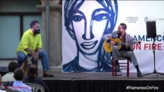 Privado: [ID: V9VtNh7LvKQ] Youtube Automatic