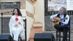 Privado: [ID: Wx-PtD9xYI0] Youtube Automatic