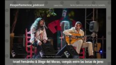 Privado: [ID: AAVIo72FABo] Youtube Automatic