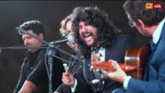 Privado: [ID: bTzuDM6PtN4] Youtube Automatic