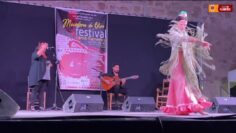 Privado: [ID: _dugcSMInIQ] Youtube Automatic