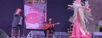 Privado: [ID: _dugcSMInIQ] Youtube Automatic