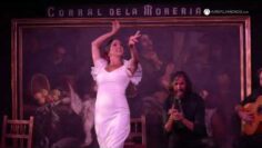 Privado: [ID: i1tRM0T1ECw] Youtube Automatic