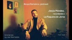 Privado: [ID: i3y1k9wiVc4] Youtube Automatic