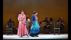 Privado: [ID: JzLNk8vfHrI] Youtube Automatic