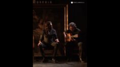 Privado: [ID: lnJ-jXVRMTI] Youtube Automatic