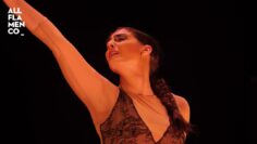 Privado: [ID: -MewGi4yTno] Youtube Automatic