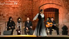 Privado: [ID: P51CVsQOt4A] Youtube Automatic