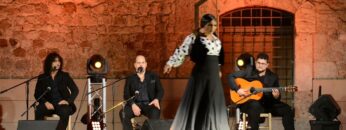 Privado: [ID: P51CVsQOt4A] Youtube Automatic