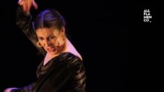 Privado: [ID: rN4F2Fy3g6s] Youtube Automatic