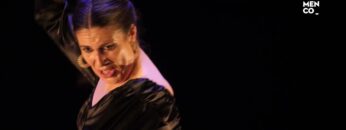 Privado: [ID: rN4F2Fy3g6s] Youtube Automatic