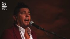 Privado: [ID: az-MBSwsc1w] Youtube Automatic