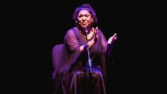 Privado: [ID: d2svABHvSS4] Youtube Automatic