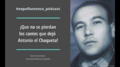 Privado: [ID: nV8ZT2Gcz1E] Youtube Automatic