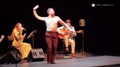 Privado: [ID: s3Sak9LVYDI] Youtube Automatic