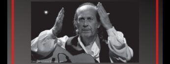 Privado: [ID: -wTy0R4vTRM] Youtube Automatic