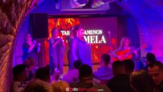 Privado: [ID: 2fofb3okrMY] Youtube Automatic