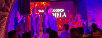 Privado: [ID: 2fofb3okrMY] Youtube Automatic