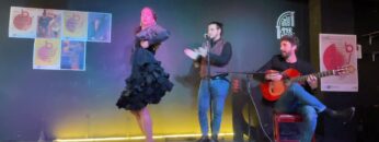 Privado: [ID: 4I06hUwHNZY] Youtube Automatic