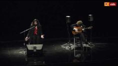 Privado: [ID: arqyreGN82E] Youtube Automatic