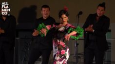 Privado: [ID: bLHgLFuOEmE] Youtube Automatic