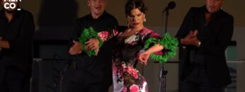 Privado: [ID: bLHgLFuOEmE] Youtube Automatic