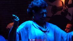 Privado: [ID: dikPH0e7g_k] Youtube Automatic